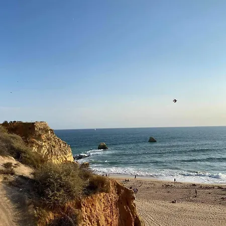 Seaescape Hideaway - Comfortable & Cozy 아파트